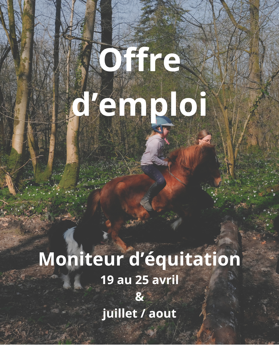 Comment trouver la meilleure approche pour attaquer un marché