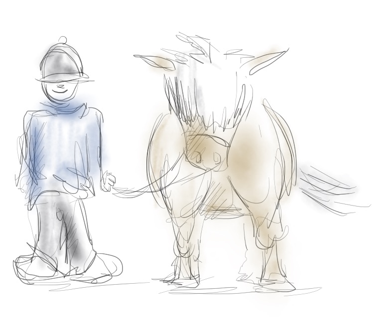Poney nature