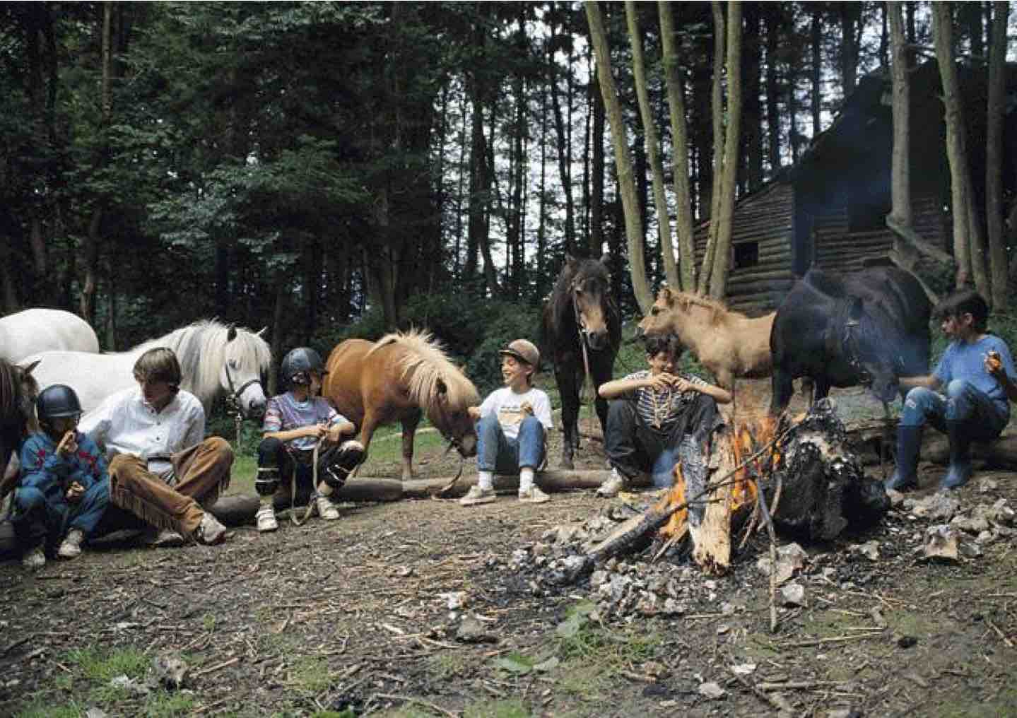 le poney un compagnon pour vivre en pleine nature