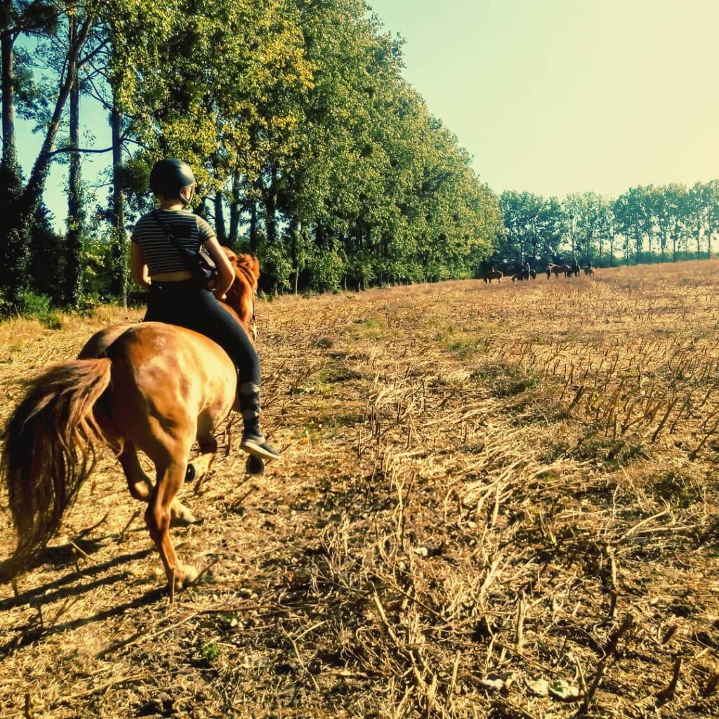 Mercredi 12/16ans ±G3 (15h00)