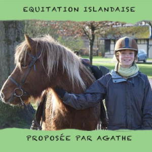 Cours Equitation Islandaise