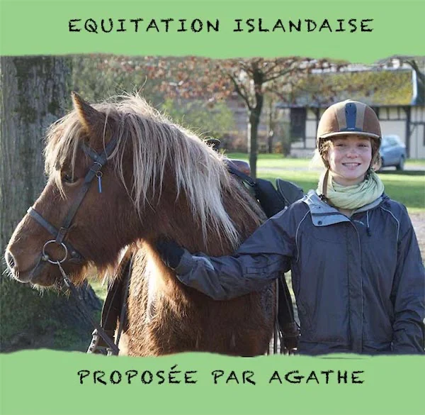Cours Equitation Islandaise