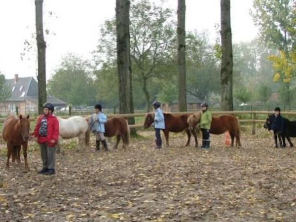 Poney pour cycle 2