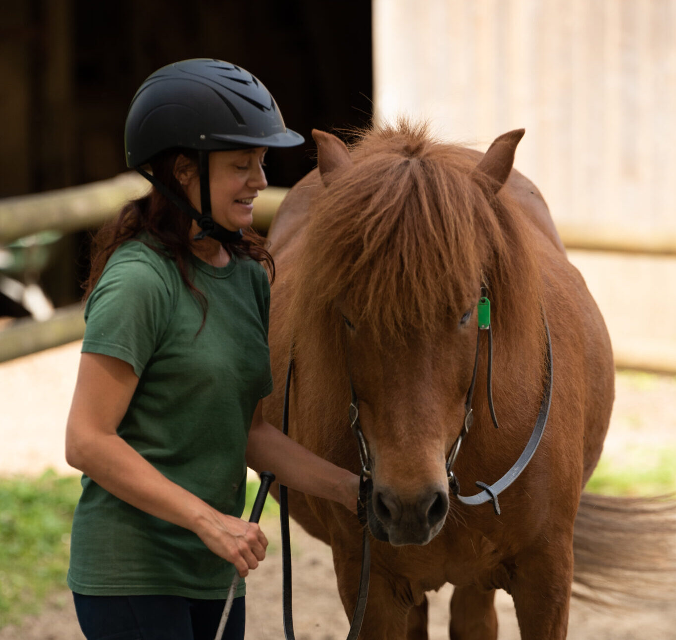 Activité poney +12ans (Classe à la carte)