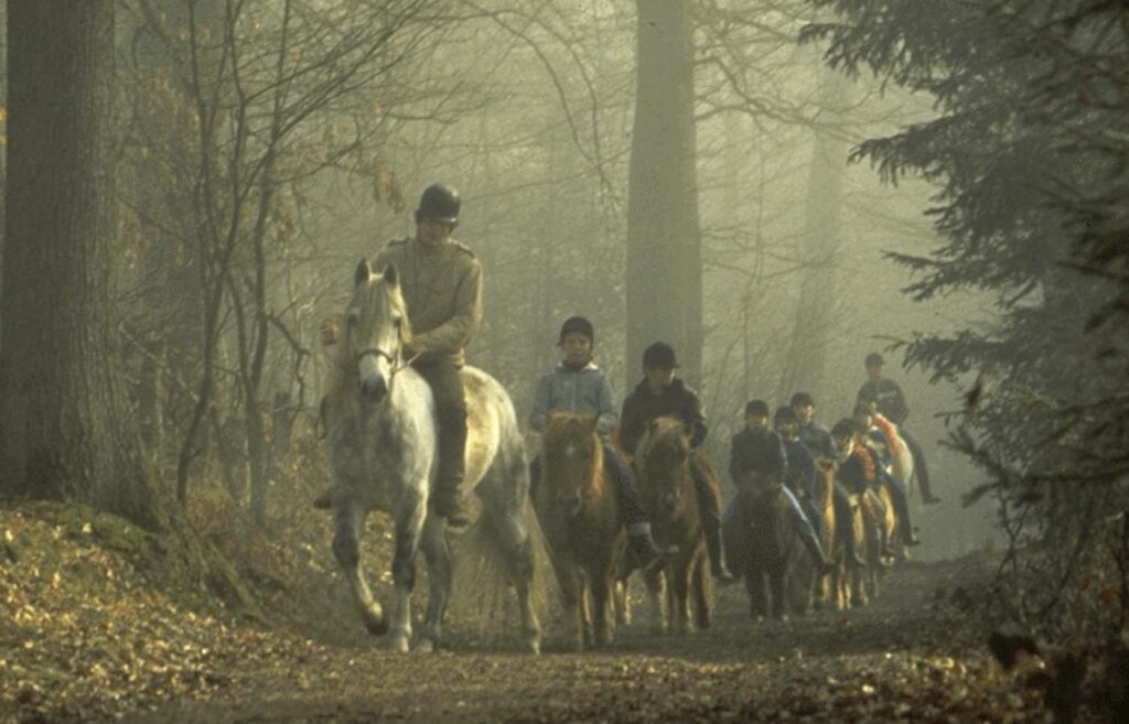 Poney pour cycle 3