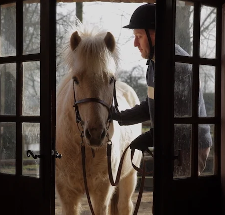Séance Equitation adaptée