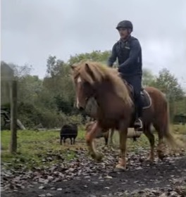 Méthode Blondeau, Etienne en selle sur une jeune cheval