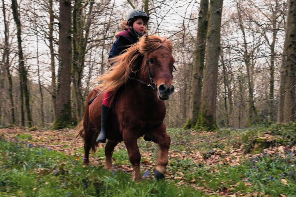 Mercredi 9/12ans ±G1/2 (15h00)