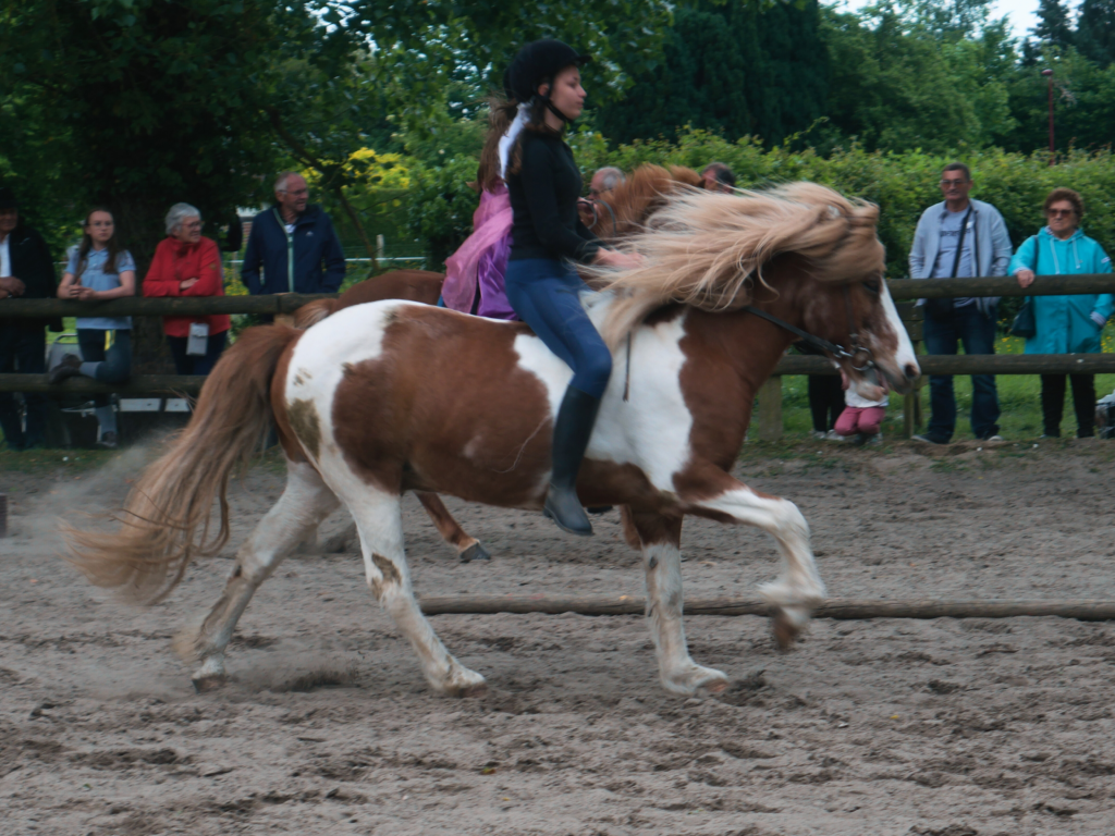 Mercredi 11/15ans ±G2/3 (15h00)