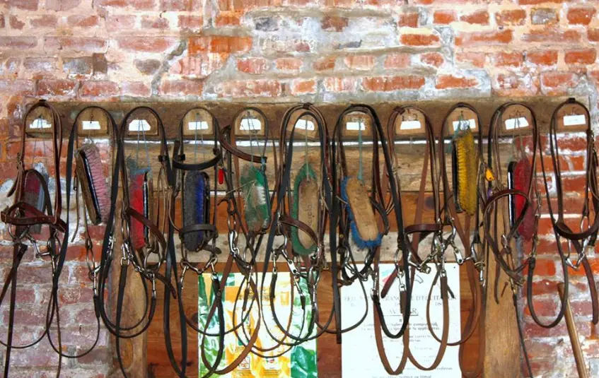 Affilié à la Fédération Française d'Equitation, au réseau "Bienvenue à la Ferme", le Poney-club de Bois Guilbert reçoit les enfants en colonie de vacances ainsi que pour les classes de découverte ou durant l'année.