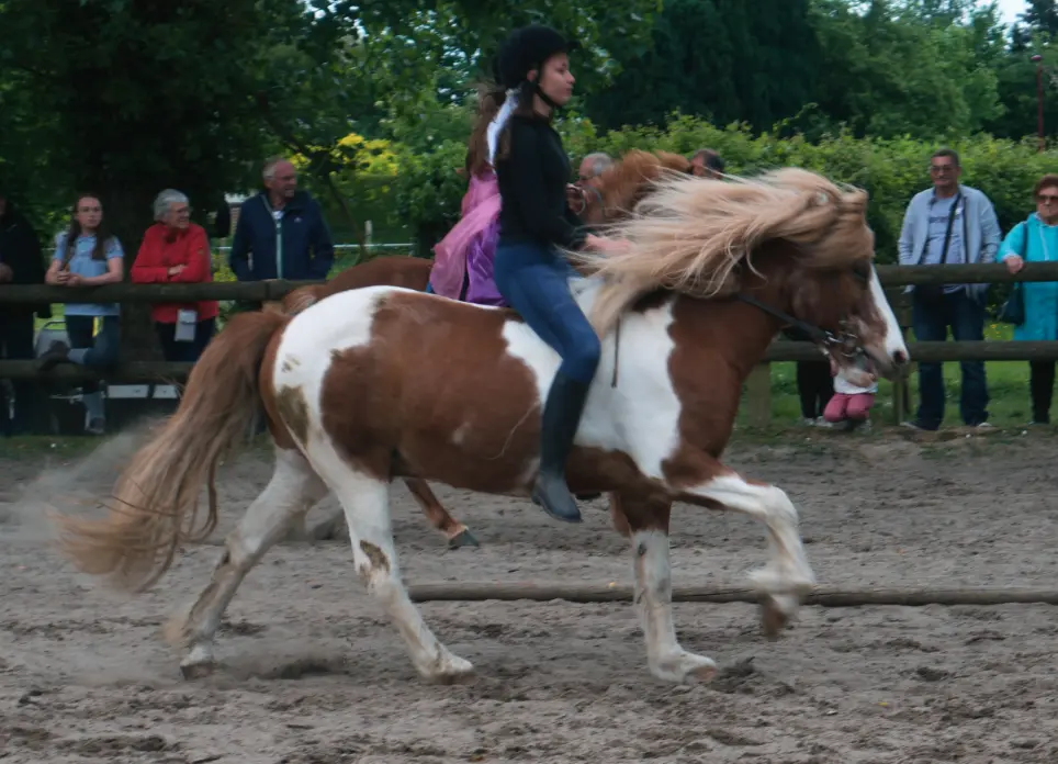 Mercredi 11/15ans ±G2/3 (15h00)