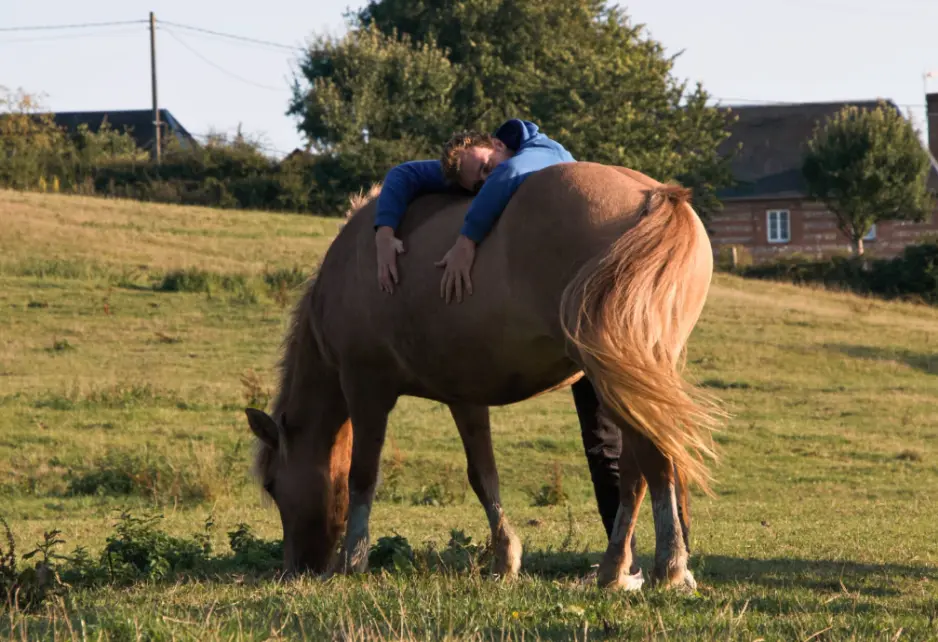 Découverte des animaux et des poneys pour vivre le moment présent.