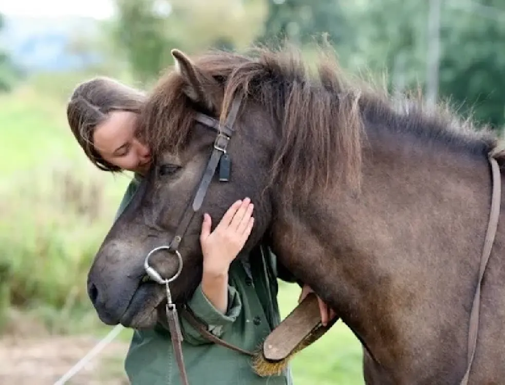 Un gros câlin avec le poney qui m'a été confié