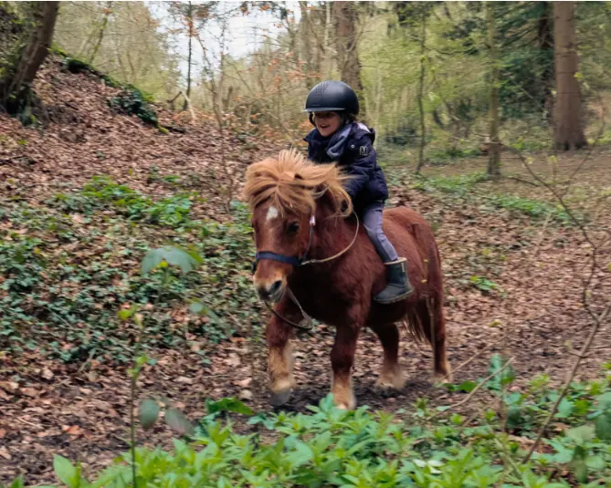 Le temps d'un séjour ou durant l'année, on galop dans les bois